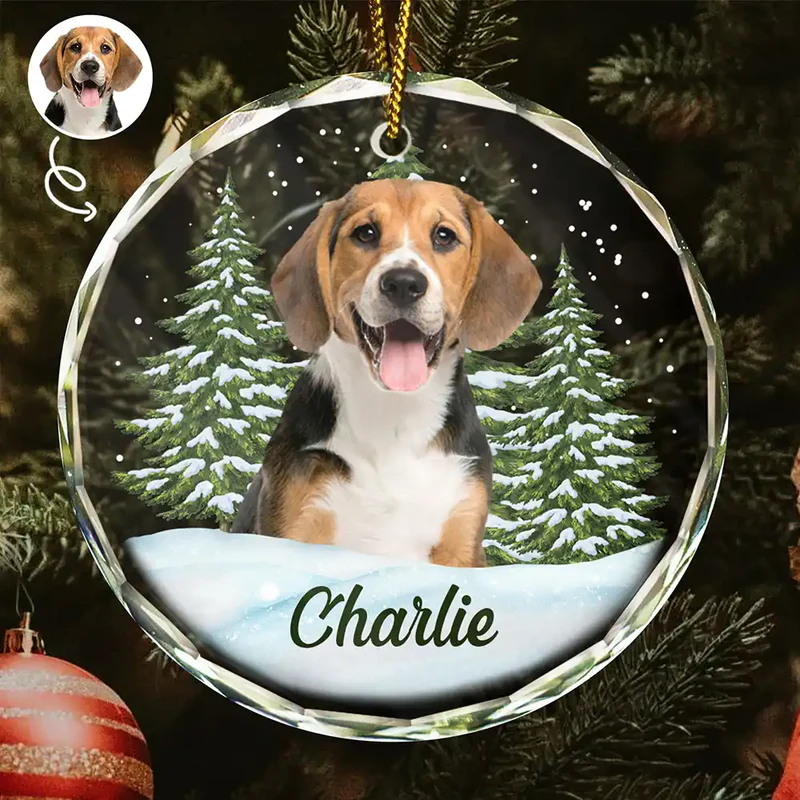 Christmas Gift For Dog Lovers, Cat Lovers, Pet Lovers, Pet Memorial - Personalized Circle Glass Ornament