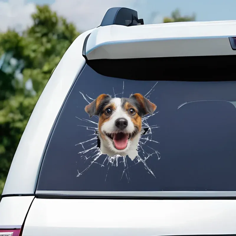 Custom Photo RV Decal